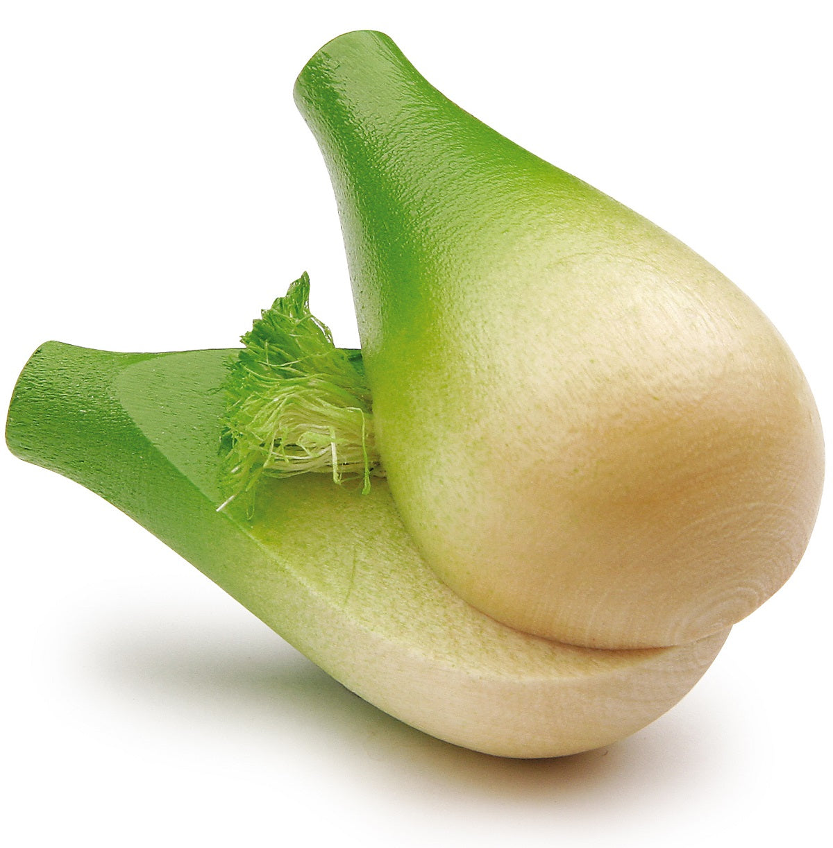 1 x Wooden Fennel Bulb