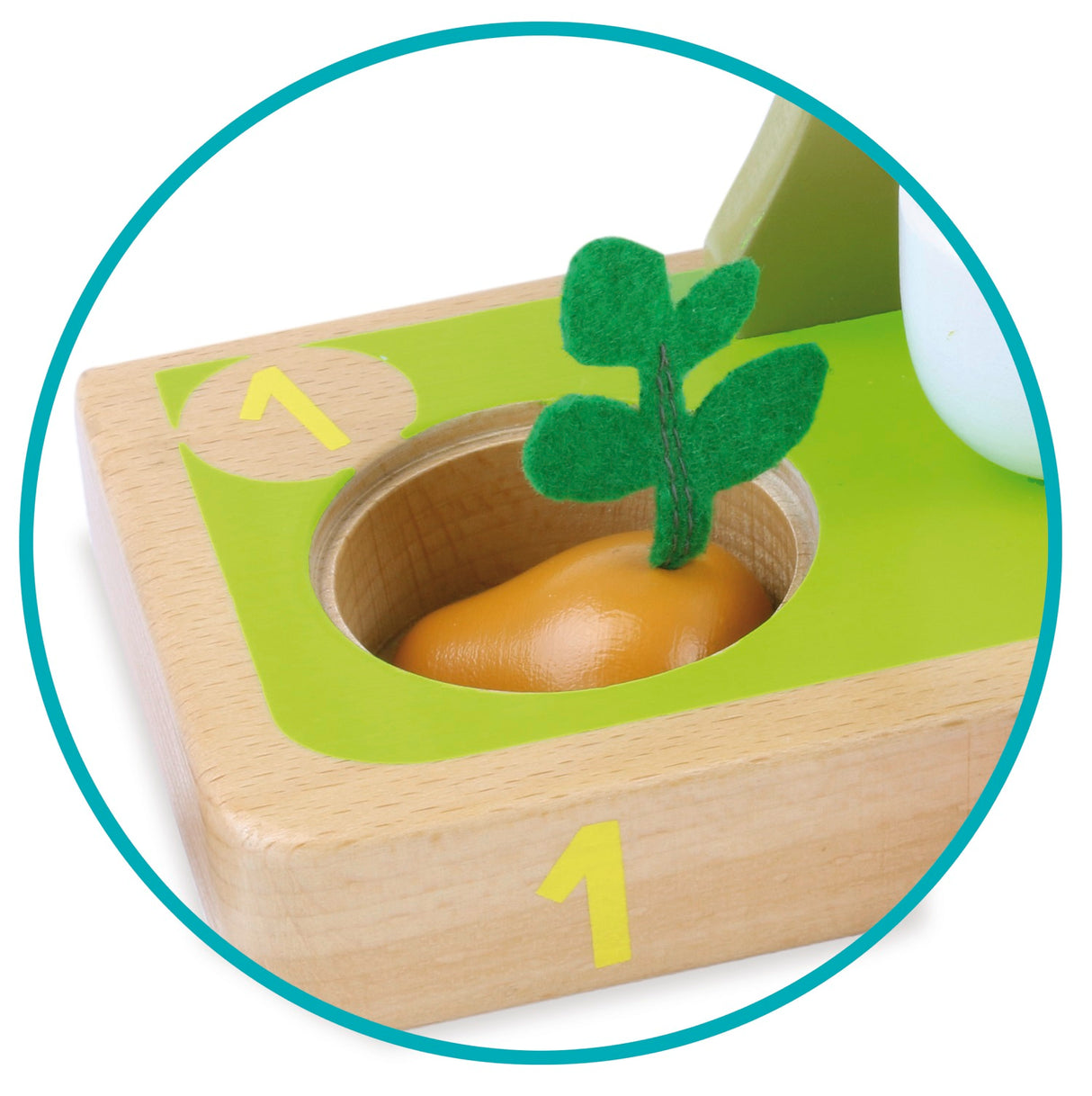 I Learn Counting Vegetables