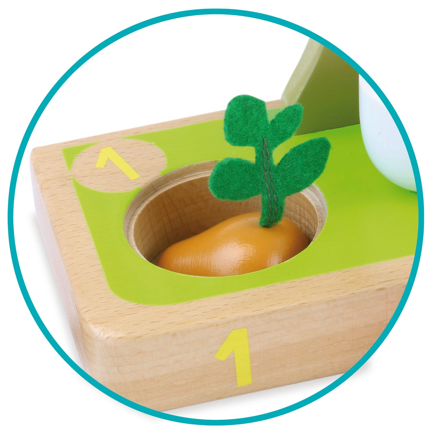 I Learn Counting Vegetables