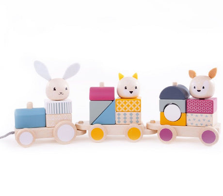 Activity Pull Along Train - FSC 100%