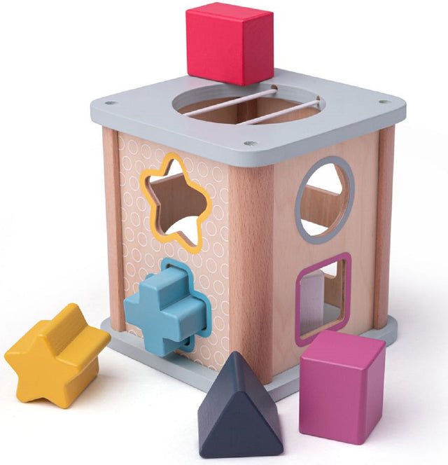 Shape Sorter - FSC 100%