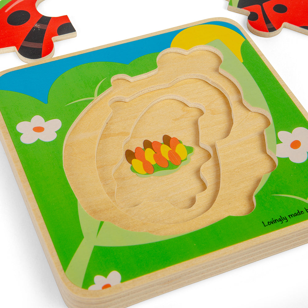 Lifecycle Layer Puzzle - Ladybug