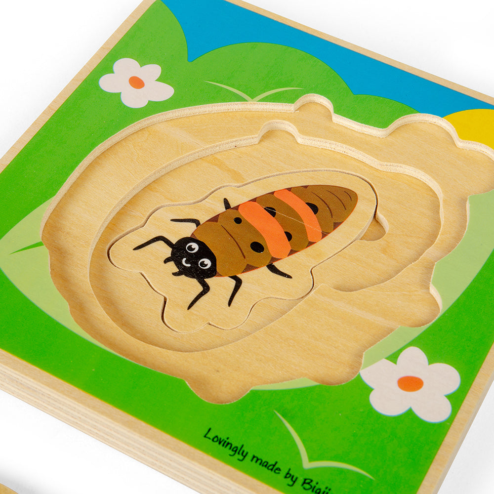Lifecycle Layer Puzzle - Ladybug