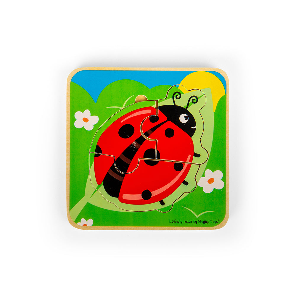 Lifecycle Layer Puzzle - Ladybug