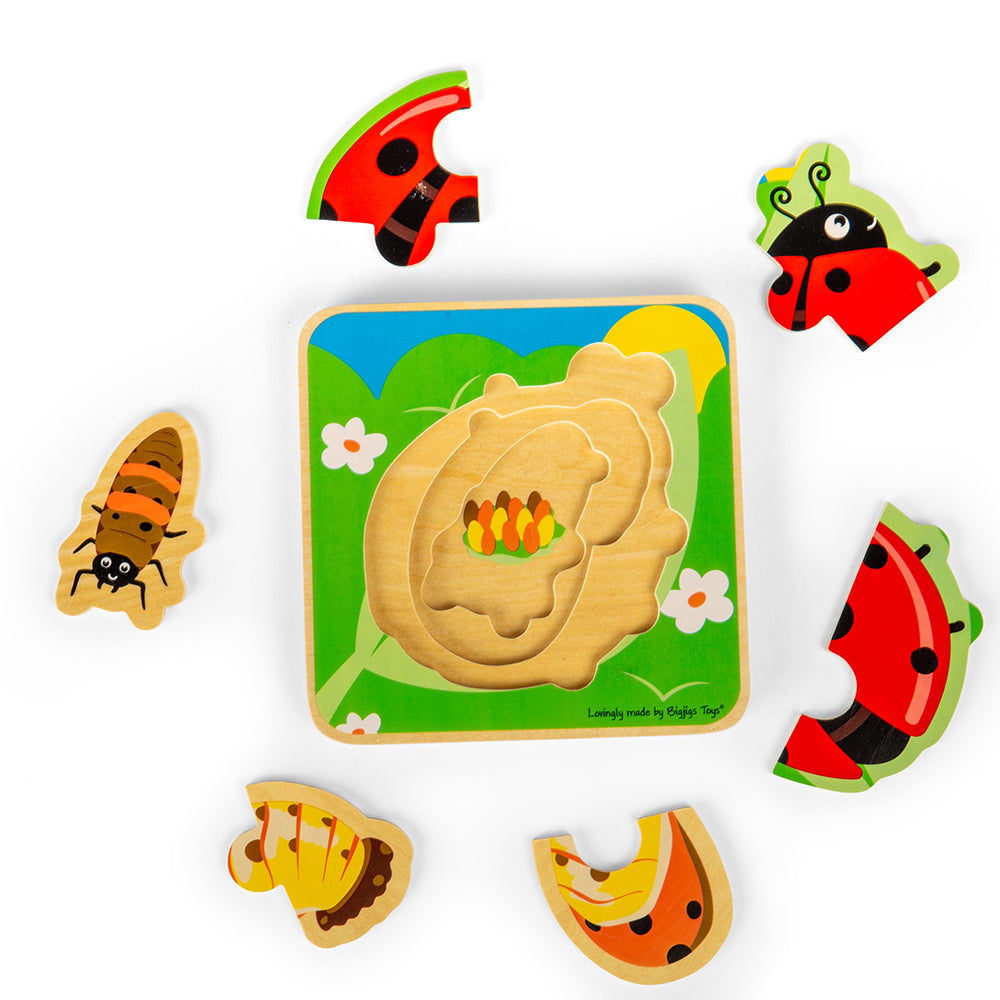 Lifecycle Layer Puzzle - Ladybug