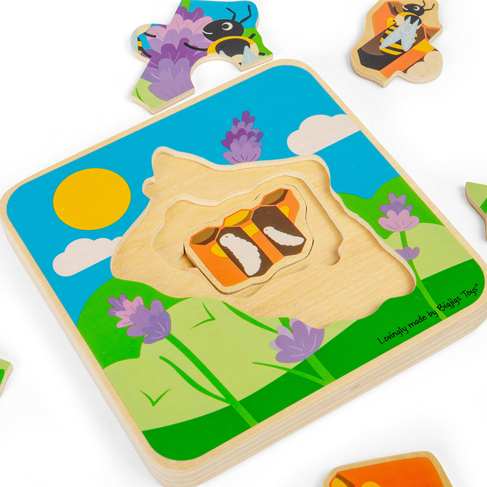 Lifecycle Layer Puzzle - Honeybee