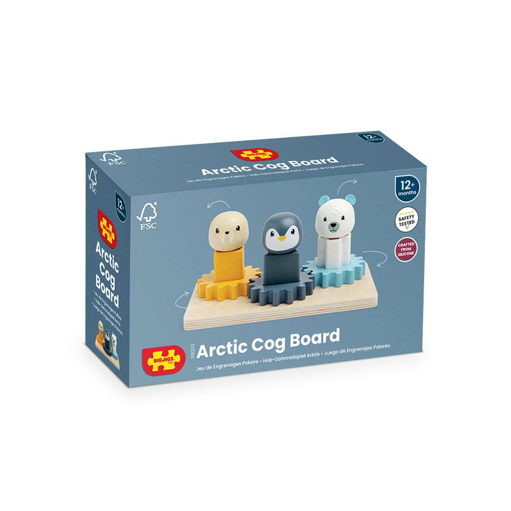 Bigjigs Toys Arctic Cog Puzzle Wooden Shape Sorter and Silicone Educational Toy for 12 Months Plus