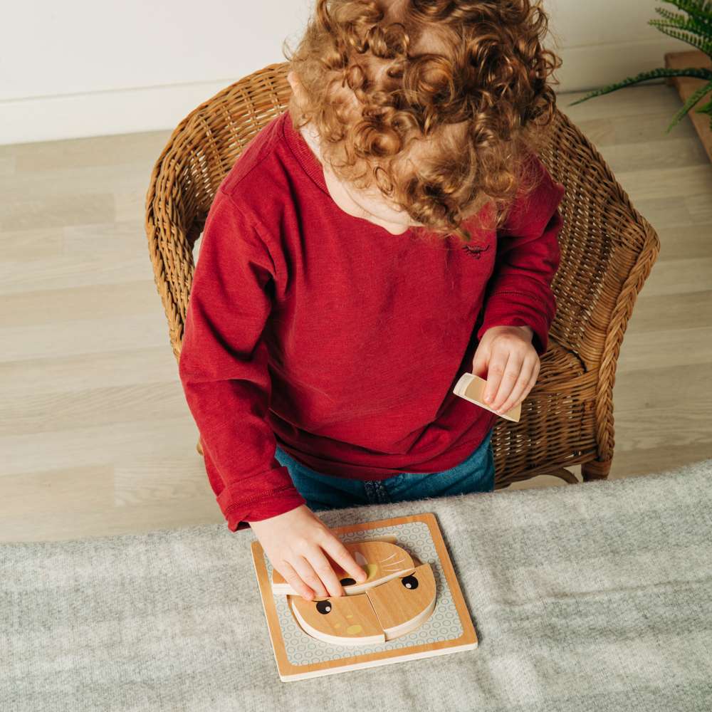 Bigjigs Toys Wooden Seal Chunky Puzzle Arctic Animal Educational Toy for 10 Months Plus