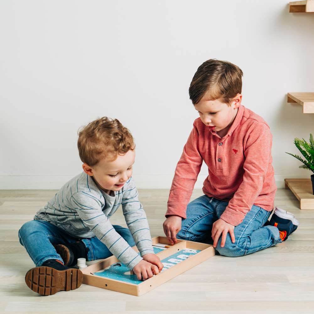 Bigjigs Toys Wooden Ice Puck Game Sustainable Arctic Animal Board Game with 11 Play Pieces for Ages 3 Plus