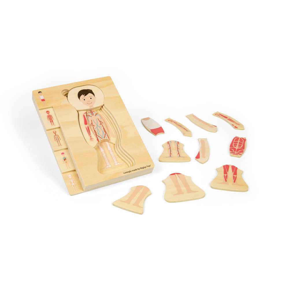 Bigjigs Toys Wooden Male Anatomy Layer Puzzle Educational STEAM Toy 26 Pieces