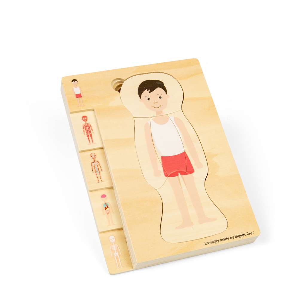 Bigjigs Toys Wooden Male Anatomy Layer Puzzle Educational STEAM Toy 26 Pieces
