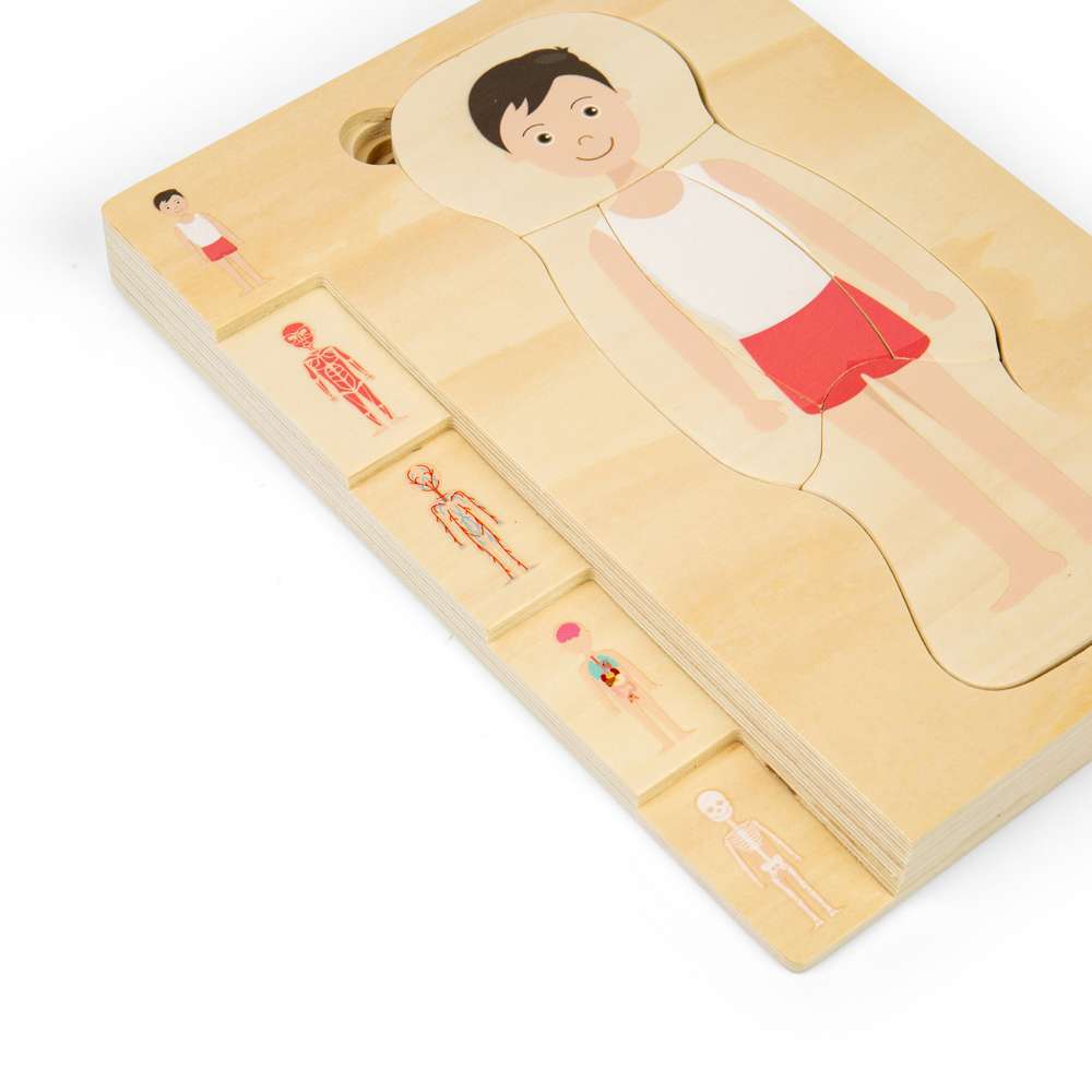 Bigjigs Toys Wooden Male Anatomy Layer Puzzle Educational STEAM Toy 26 Pieces