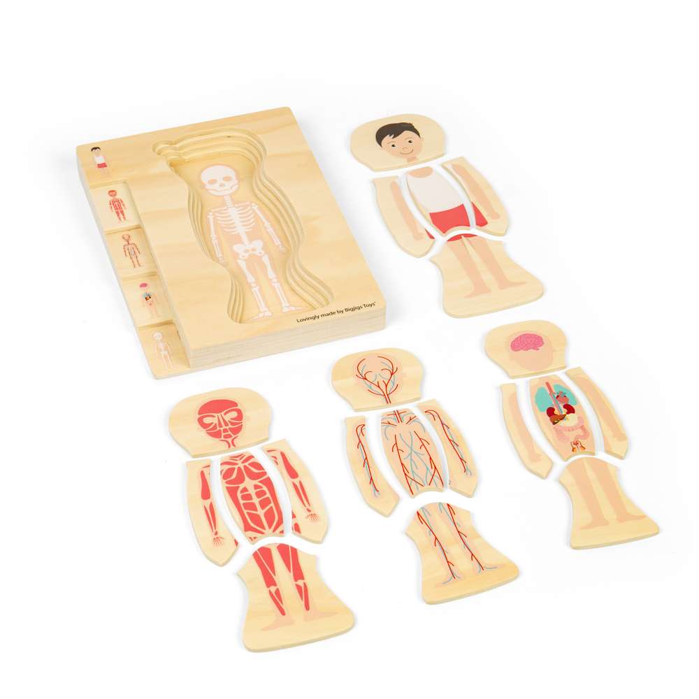 Bigjigs Toys Wooden Male Anatomy Layer Puzzle Educational STEAM Toy 26 Pieces