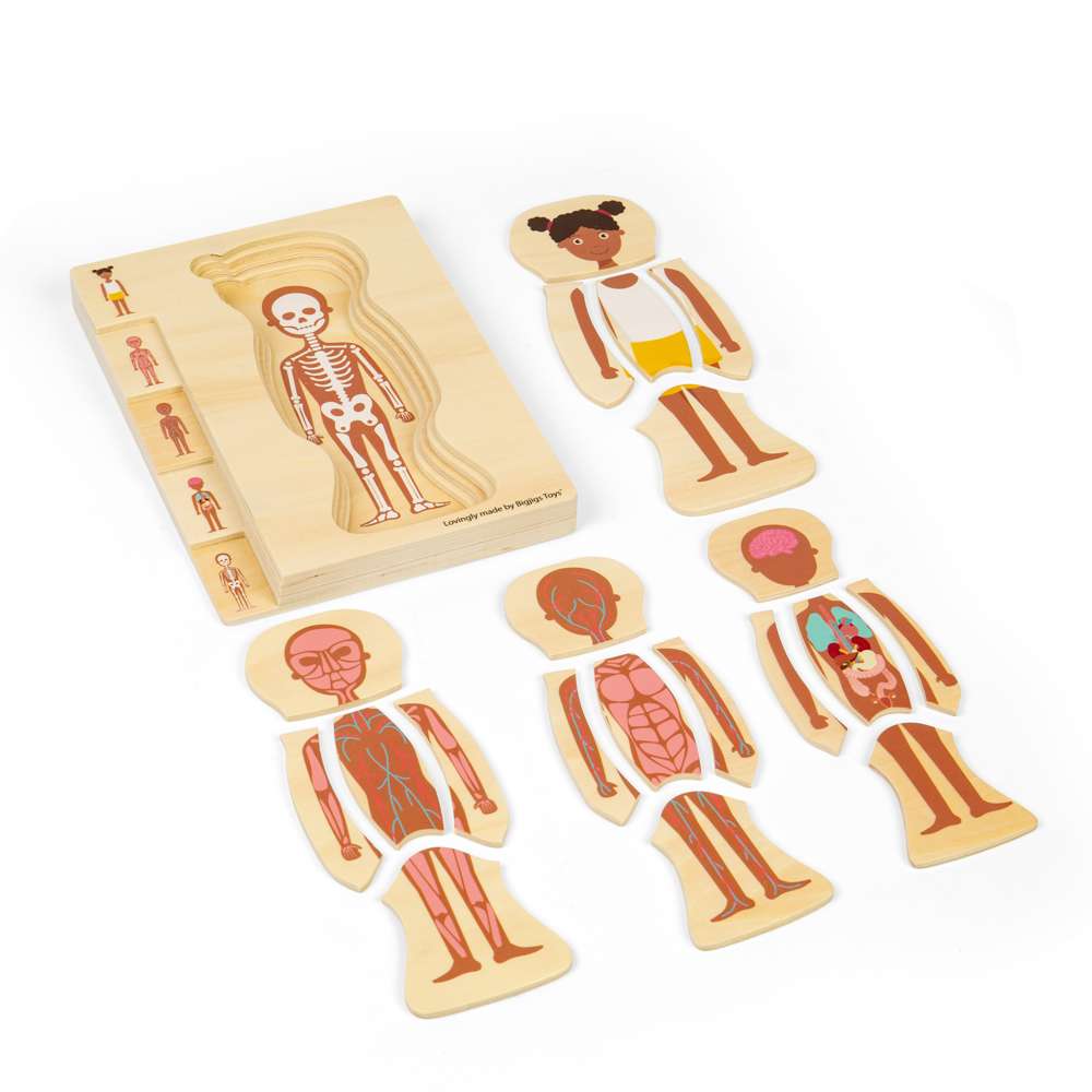Bigjigs Toys Wooden Female Anatomy Layer Puzzle Educational Science Toy with 26 Pieces