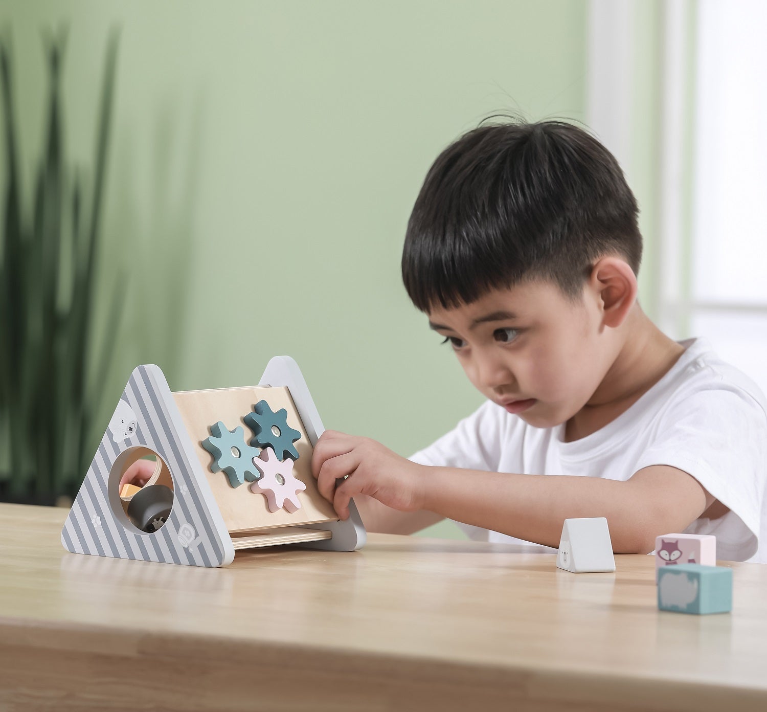 Shape Sorter & Gear Play