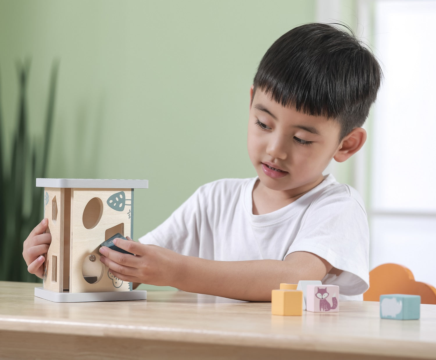 Shape Sorter & Gear Play