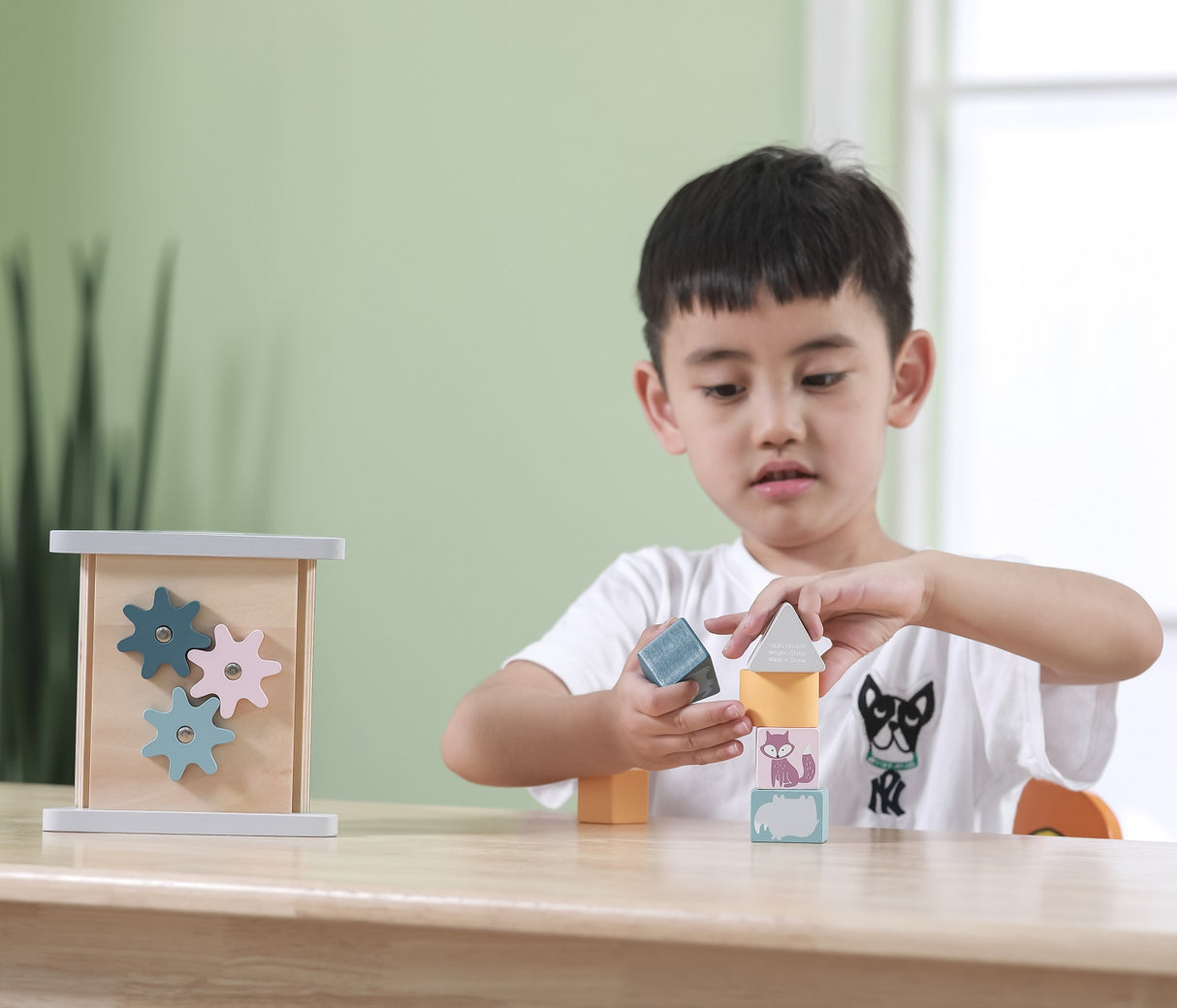 Shape Sorter & Gear Play