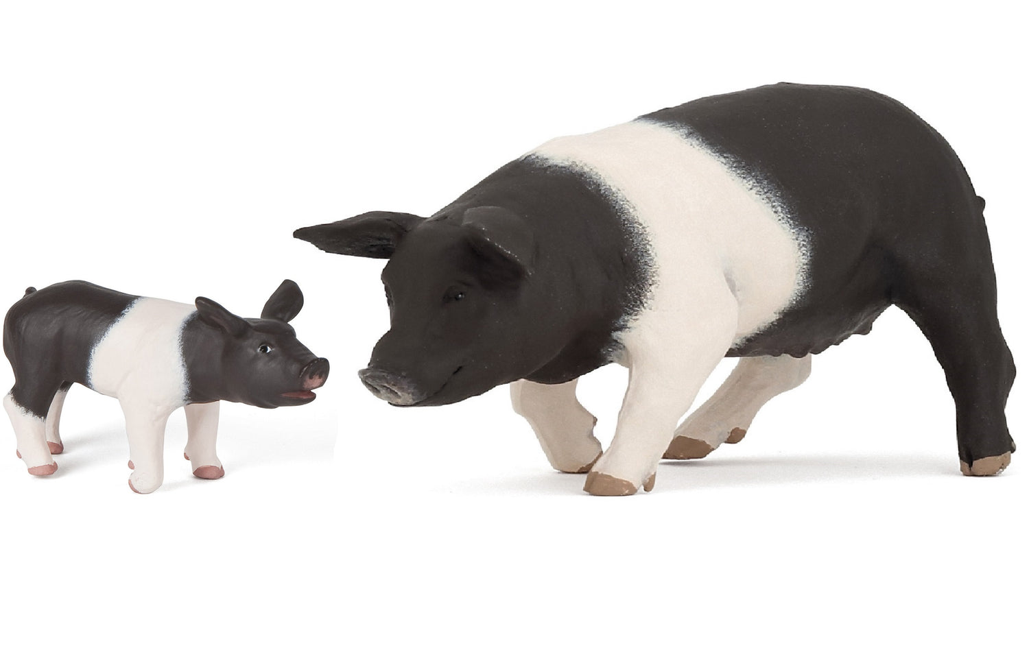 Black and White Pig and Piglet