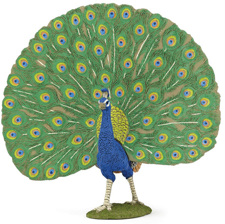 Papo Peacock