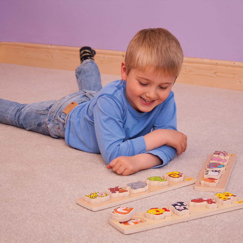 Chunky Lift and Match Toys Puzzle