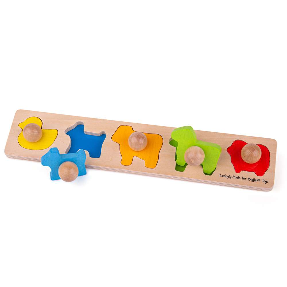 Bigjigs Baby Wooden First Peg Puzzle Memory and Matching Game 5 Pieces