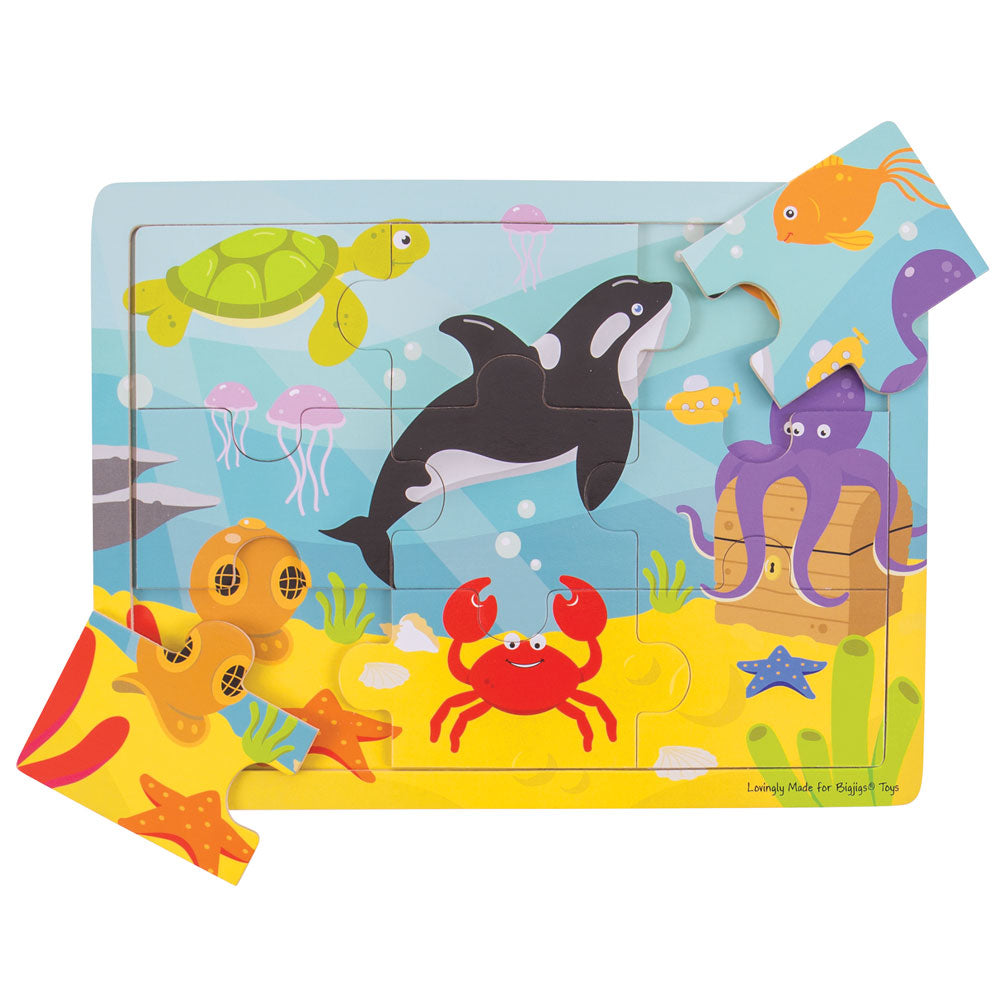 Tray Puzzle (Underwater)