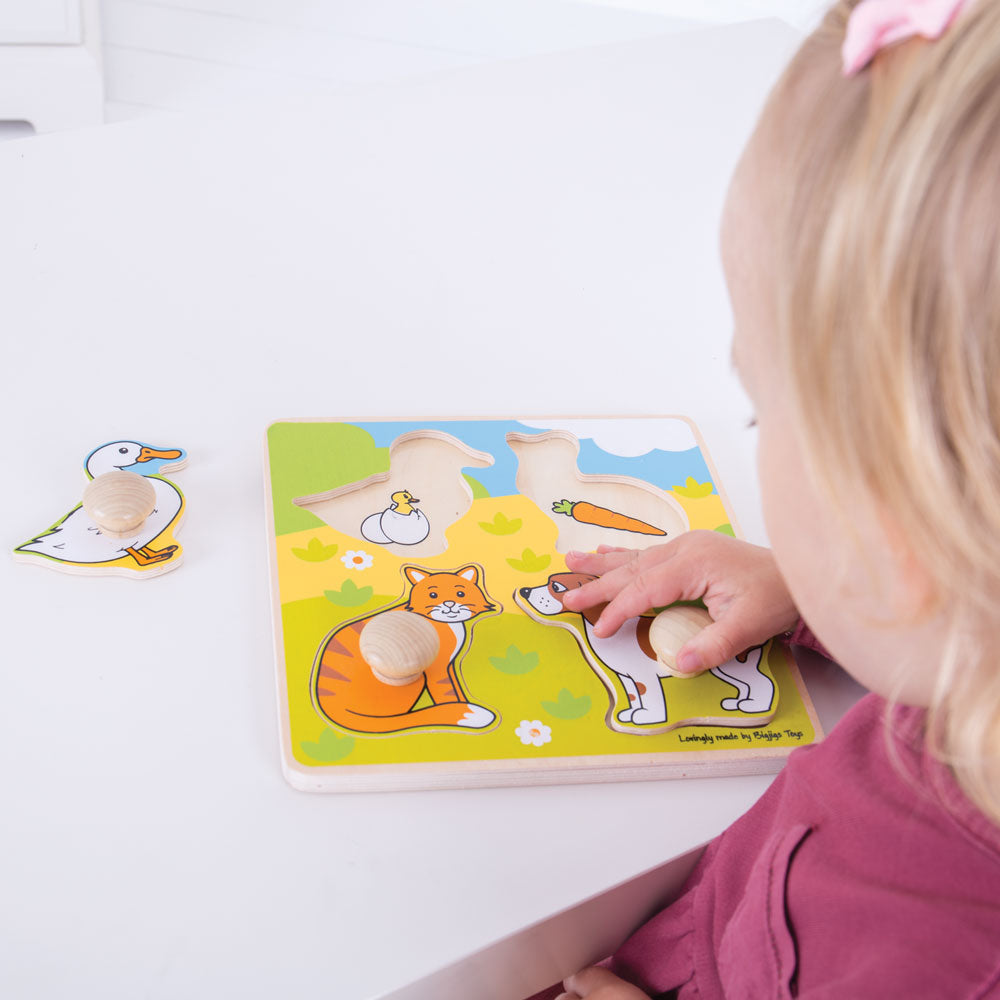 My First Peg Puzzle (Pets)