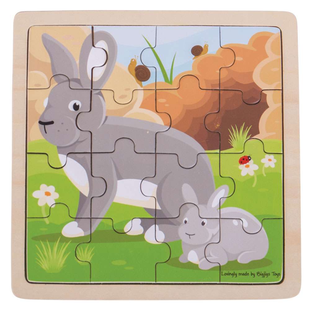 Bigjigs Toys Bunny Wooden Shape Sorting Educational Puzzle for Toddlers 16 Pieces