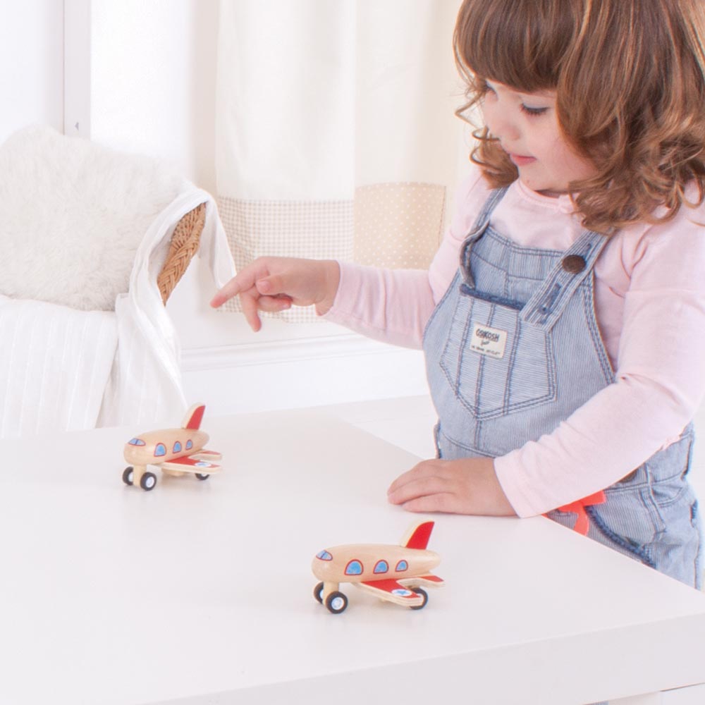 Pull Back Planes (Pack of 2)