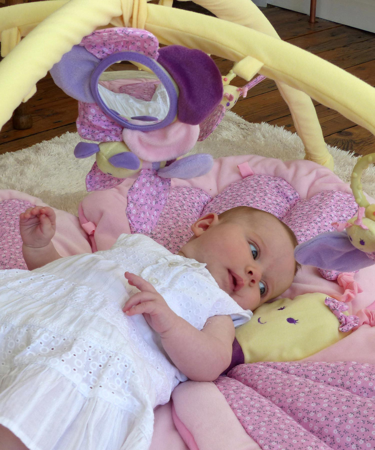 Billowy Butterfly Multi-Activity Play Gym