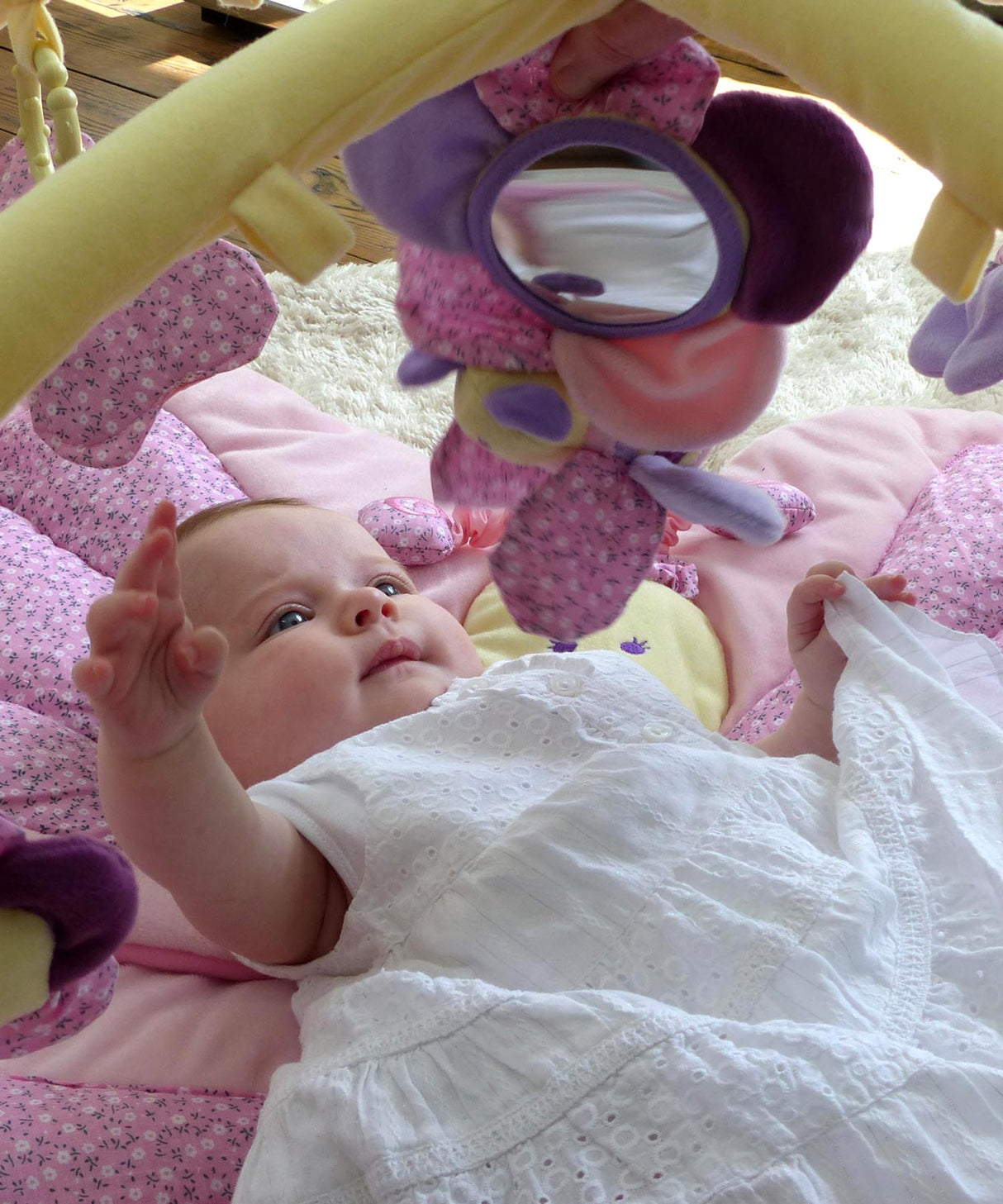 Billowy Butterfly Multi-Activity Play Gym