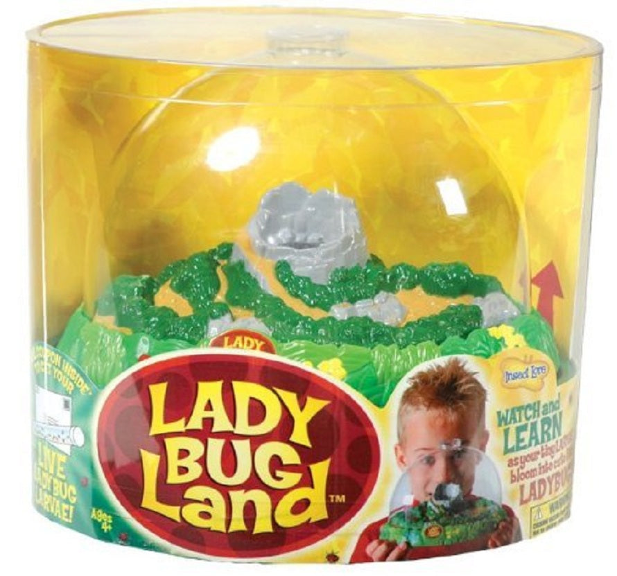 Bug Land Ladybird Habitat