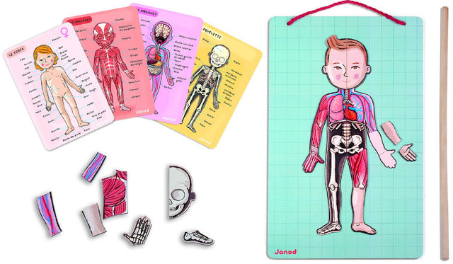Body Magnets Educational Puzzle