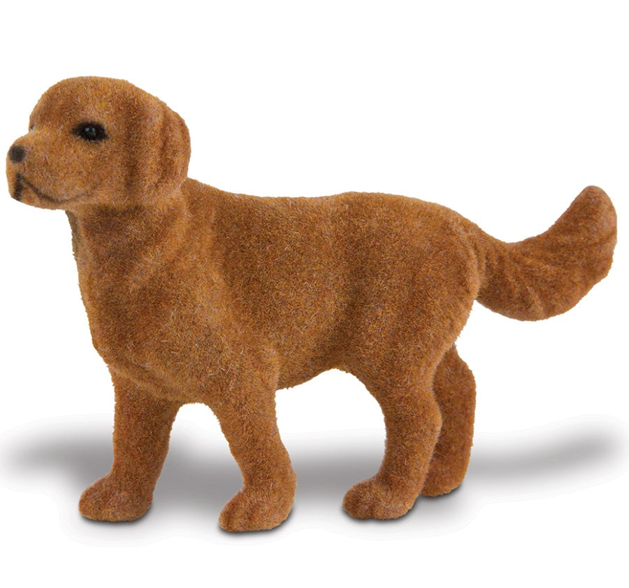 Canine Companions - 12 Piece Set 3