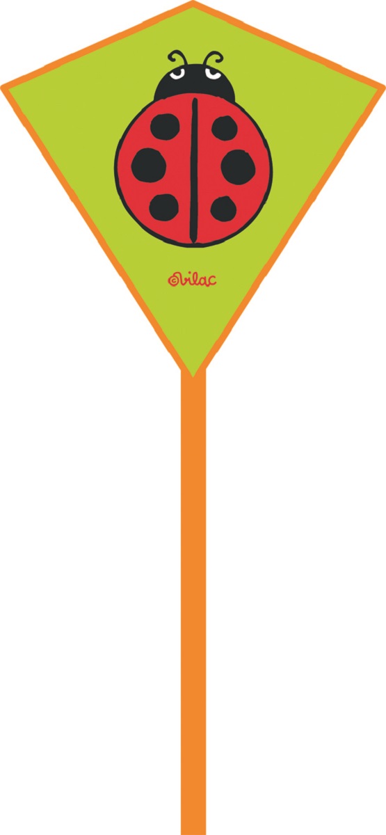 Children's Ladybird Kite