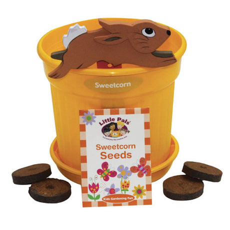 Growing Pot of Fun - Sweetcorn