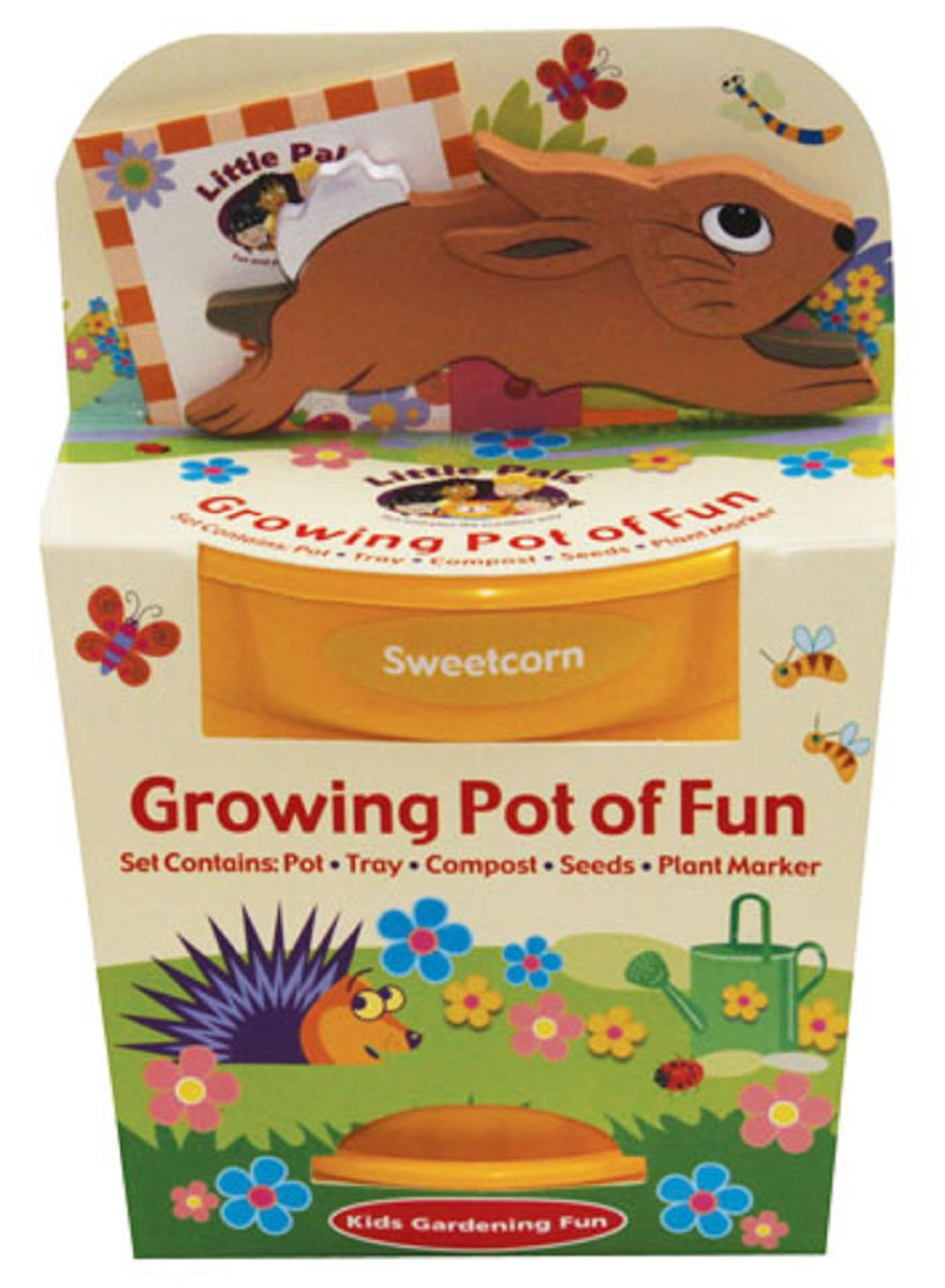 Growing Pot of Fun - Sweetcorn