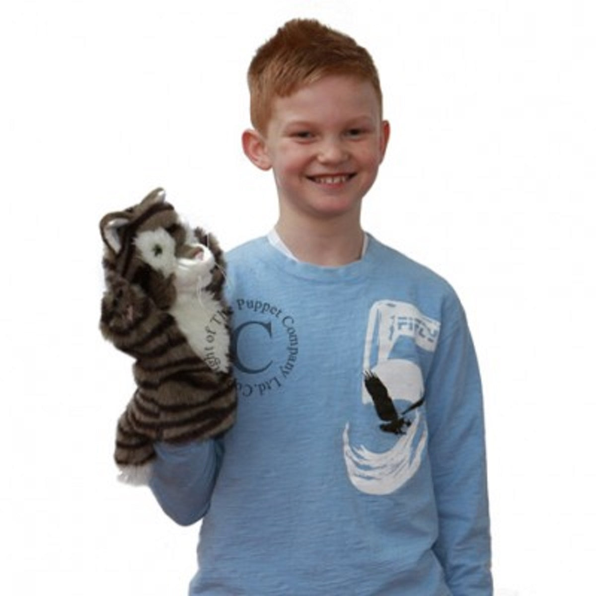 Car Pets - Cat (Tabby)