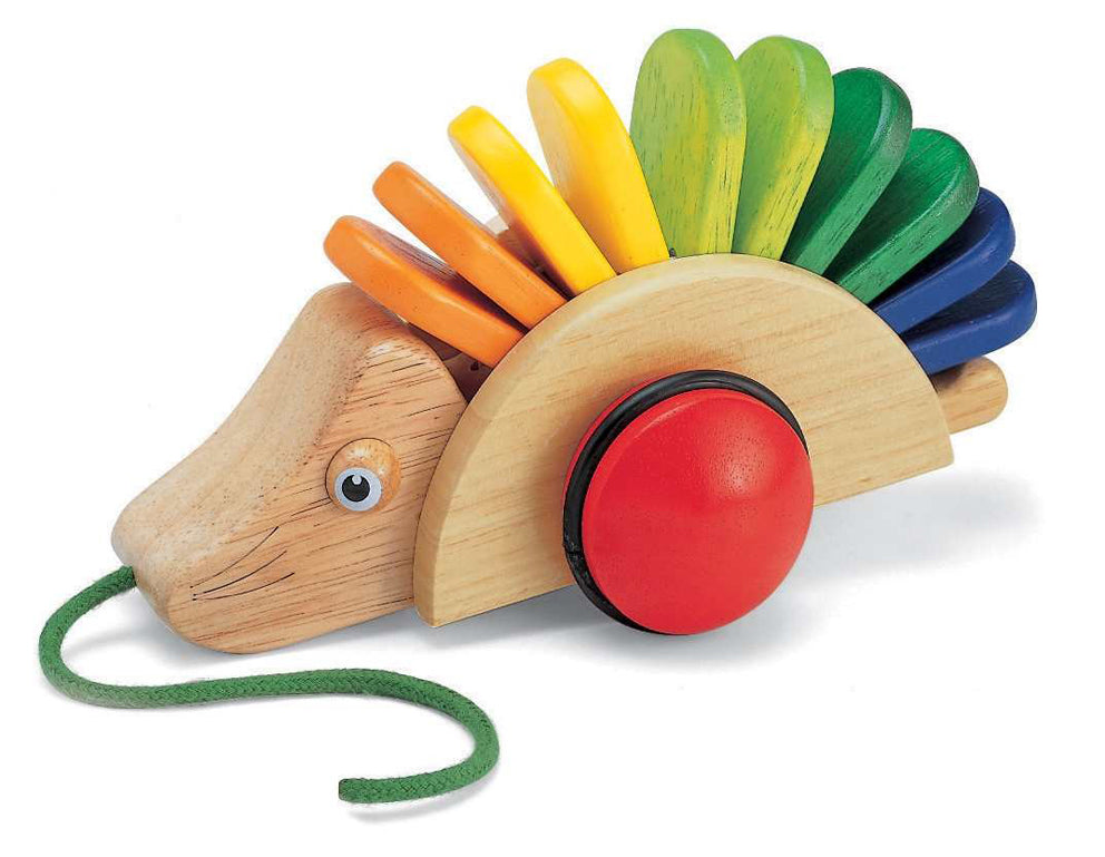 Pintoy Pull Along Hedgehog