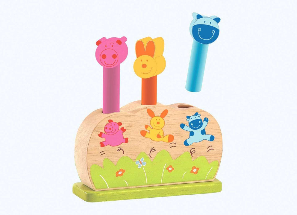 Pintoy Springy Pop Up