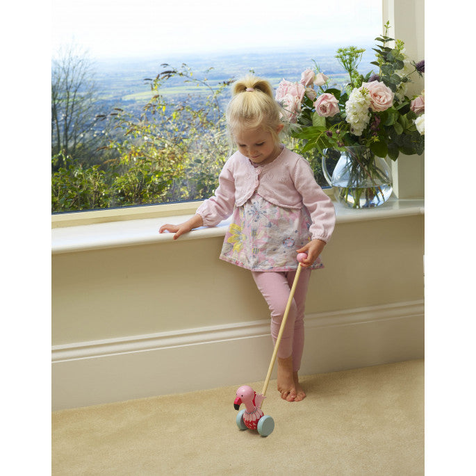 Push Along Wooden Flamingo