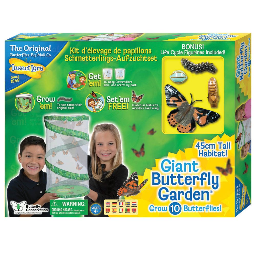 Giant Butterfly Set with Life Cycles Stages Figures