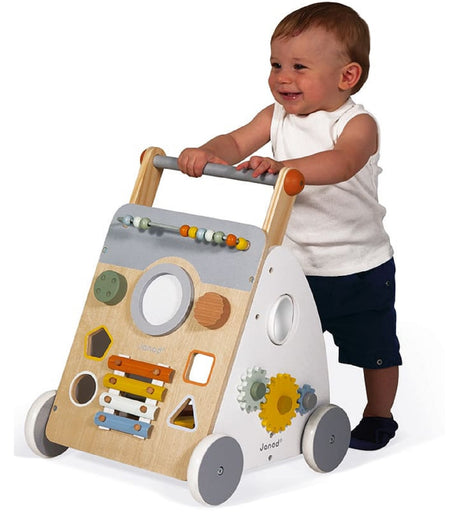 Sweet Cocoon Multi Activity Walker