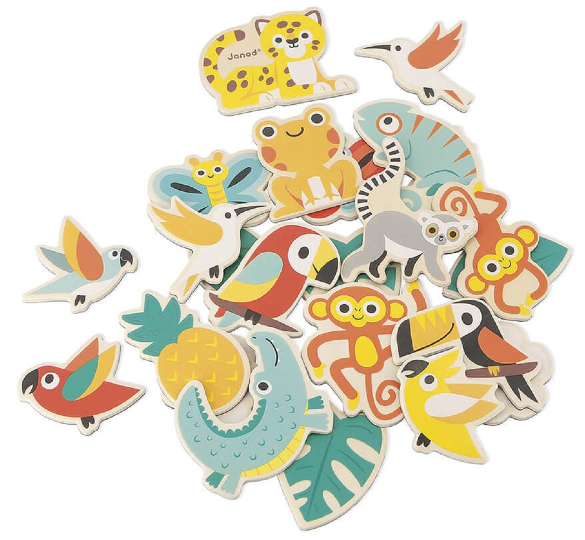 24 Piece Tropical Magnets Set