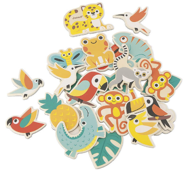 24 Piece Tropical Magnets Set