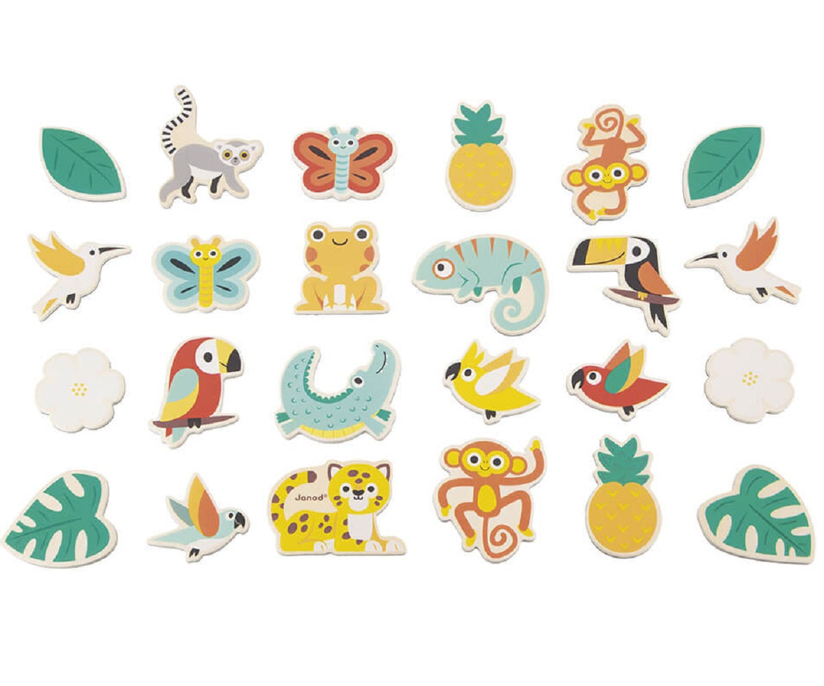 24 Piece Tropical Magnets Set