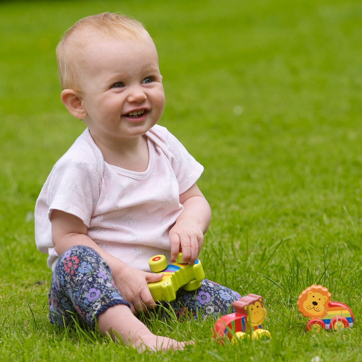 First Jungle Animal Vehicles