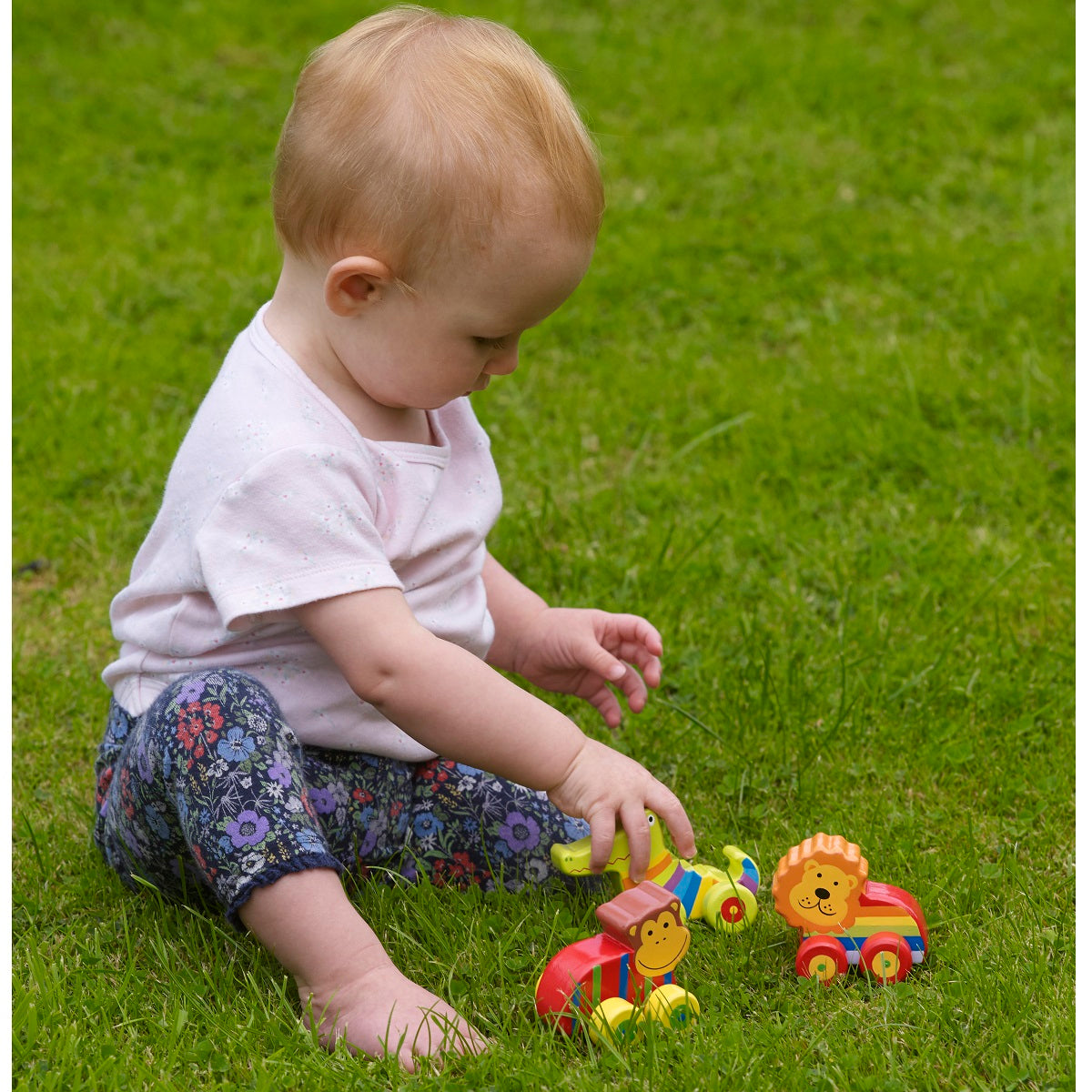 First Jungle Animal Vehicles