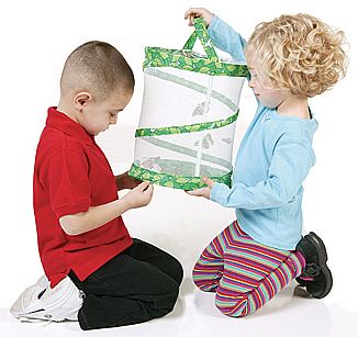 Children's Butterfly Set