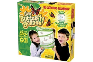 Children's Butterfly Set
